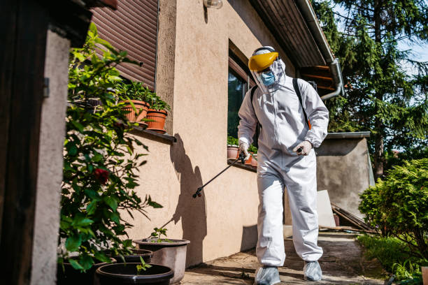Wasp Removal Services in Millville, NJ