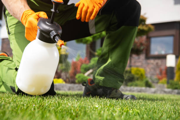 Reliable Millville, NJ Pest Control Solutions