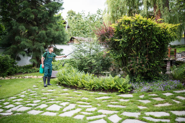 Best Wasp Removal Services  in Millville, NJ