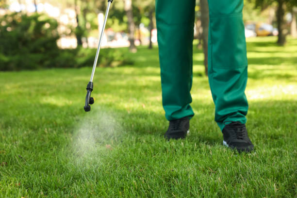 Best Affordable Pest Control Services  in Millville, NJ