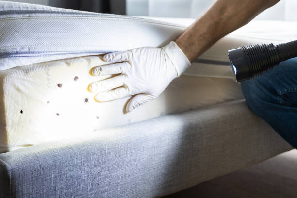 Best Cockroach Control Services  in Millville, NJ