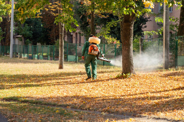 Best Pest Inspection Near Me  in Millville, NJ